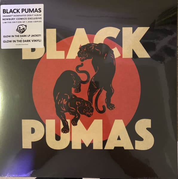 Album Cover Art for Black Pumas