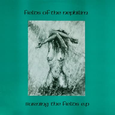 Album Cover Art for Burning The Fields E.P