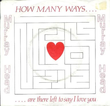 Album Cover Art for How Many Ways