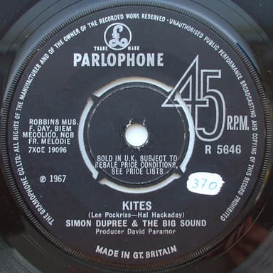 Album Cover Art for Kites