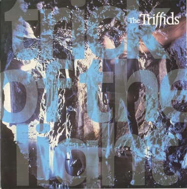Album Cover Art for Trick Of The Light