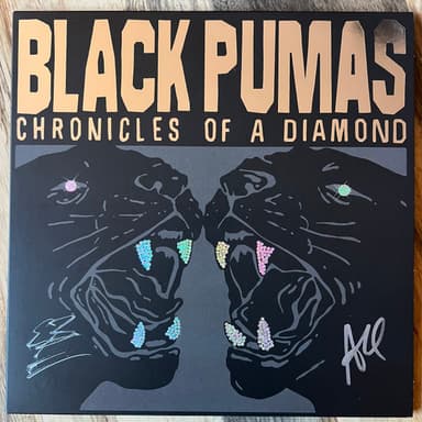 Album Cover Art for Chronicles Of A Diamond