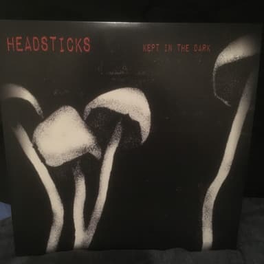 Album Cover Art for Kept In The Dark