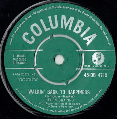 Album Cover Art for Walkin' Back To Happiness