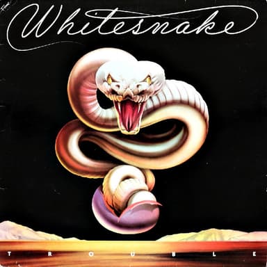 Album Cover Art for Trouble
