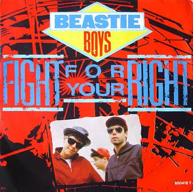 Album Cover Art for Fight For Your Right