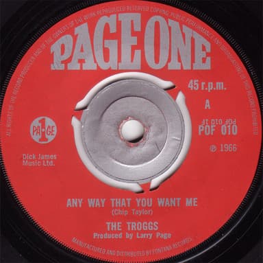 Album Cover Art for Any Way That You Want Me