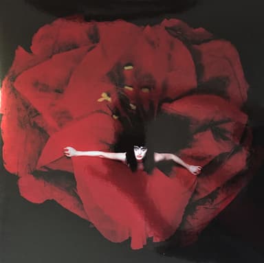 Album Cover Art for Adore
