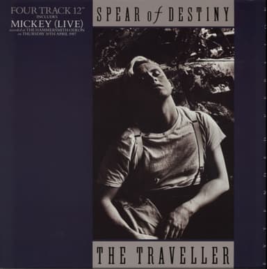 Album Cover Art for The Traveller (Extended Version)