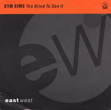 Album Cover Art for Too Blind To See It