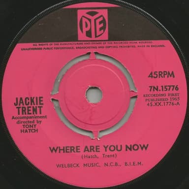 Album Cover Art for Where Are You Now