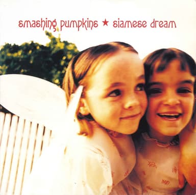 Album Cover Art for Siamese Dream