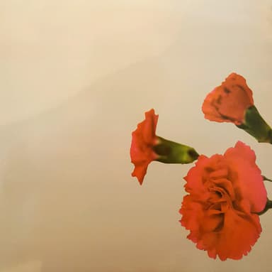 Album Cover Art for Love In The Future