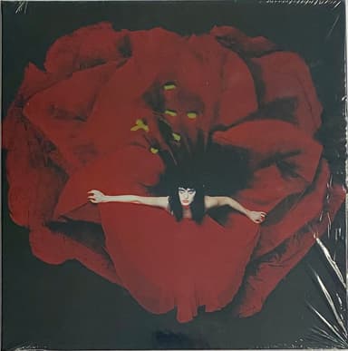 Album Cover Art for Adore