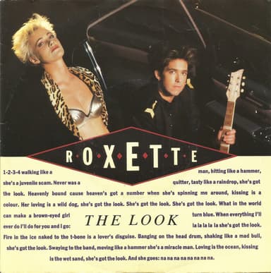 Album Cover Art for The Look