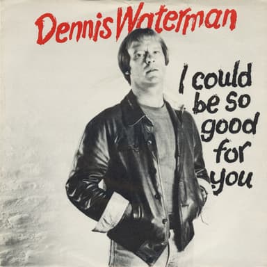 Album Cover Art for I Could Be So Good For You