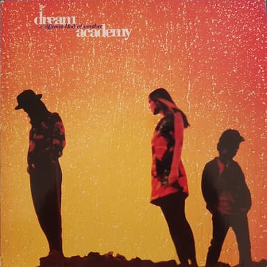 Album Cover Art for A Different Kind Of Weather
