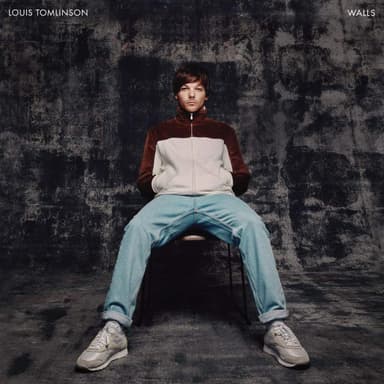 Album Cover Art for Walls