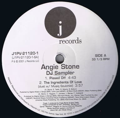 Album Cover Art for DJ Sampler