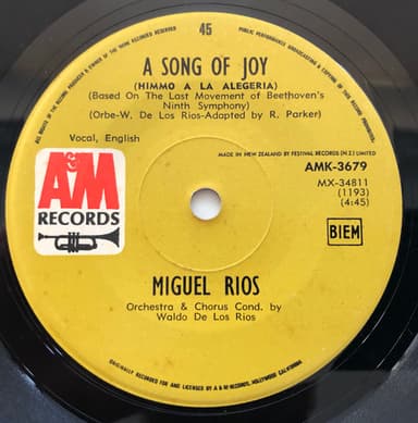 Album Cover Art for A Song Of Joy