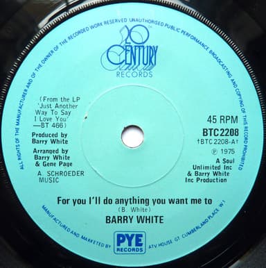 Album Cover Art for For You I'll Do Anything You Want Me To
