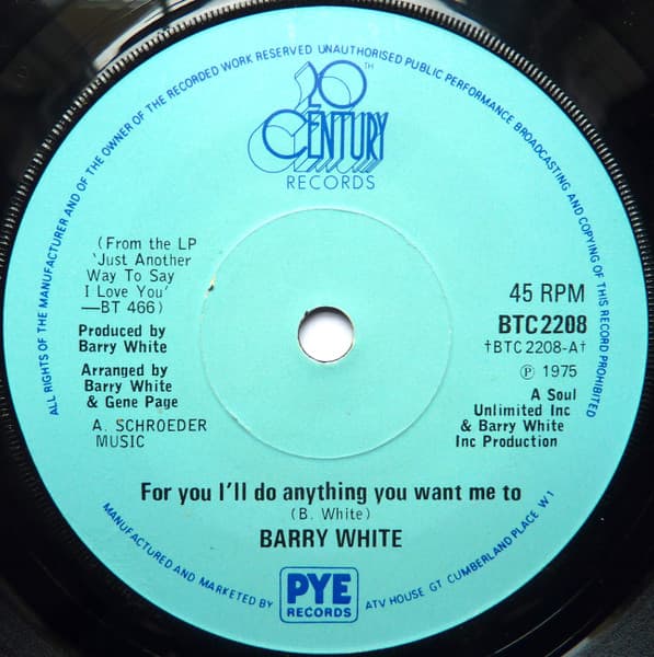 Album Cover Art for For You I'll Do Anything You Want Me To