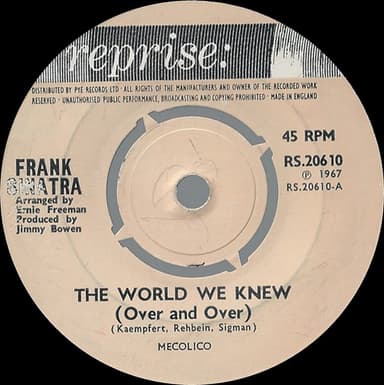 Album Cover Art for The World We Knew (Over And Over)
