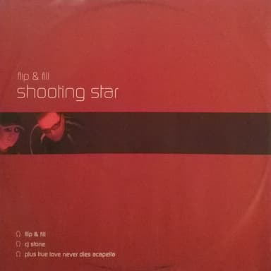 Album Cover Art for Shooting Star
