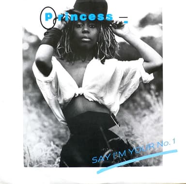 Album Cover Art for Say I'm Your No. 1