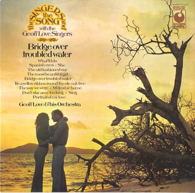 Album Cover Art for Bridge Over Troubled Water