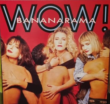Album Cover Art for Wow!