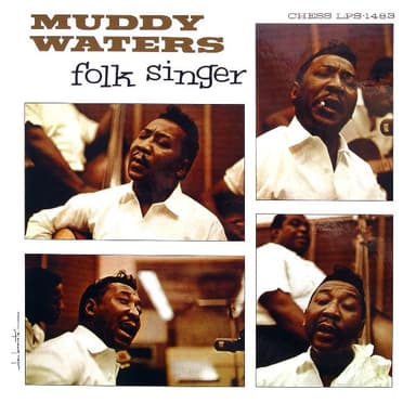 Album Cover Art for Folk Singer