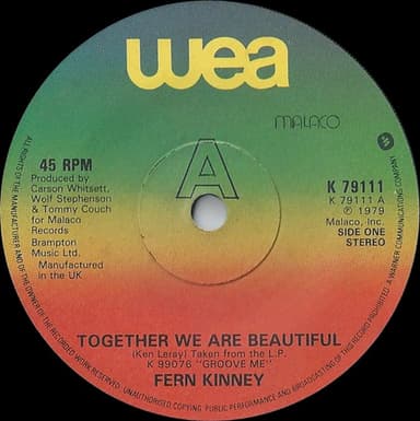 Album Cover Art for Together We Are Beautiful