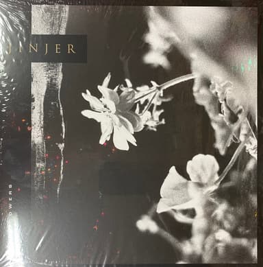 Album Cover Art for Wallflowers