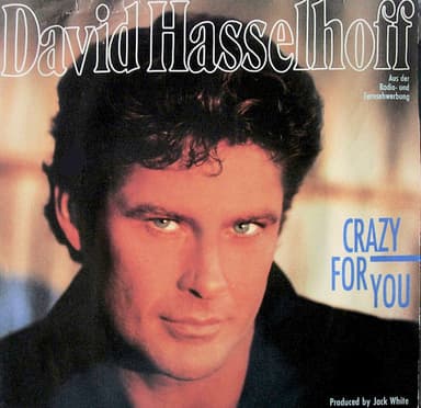 Album Cover Art for Crazy For You