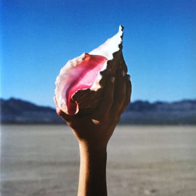 Album Cover Art for Wonderful Wonderful