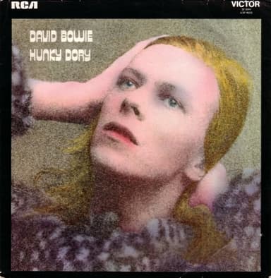 Album Cover Art for Hunky Dory