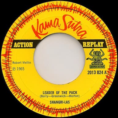 Album Cover Art for Leader Of The Pack / Remember (Walkin' In The Sand)