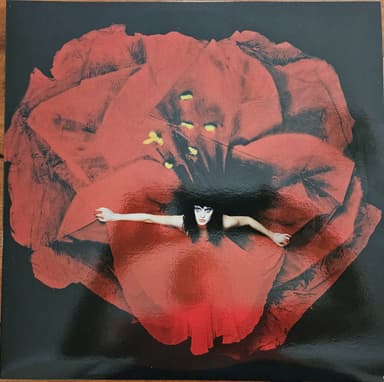Album Cover Art for Adore