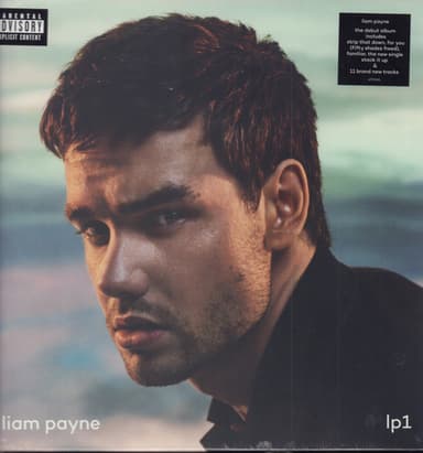 Album Cover Art for LP1