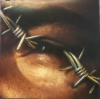 Album Cover Art for Beerbongs & Bentleys