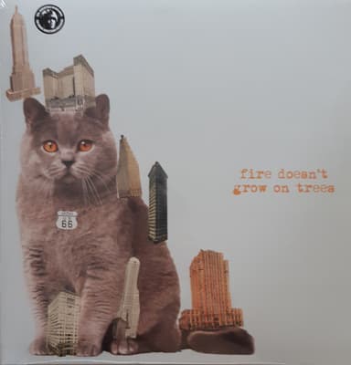 Album Cover Art for Fire Doesn't Grow On Trees