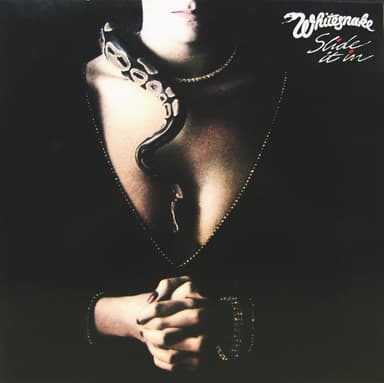 Album Cover Art for Slide It In