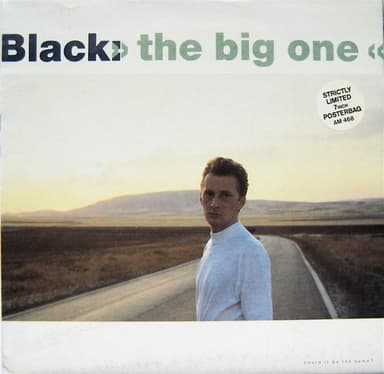 Album Cover Art for The Big One