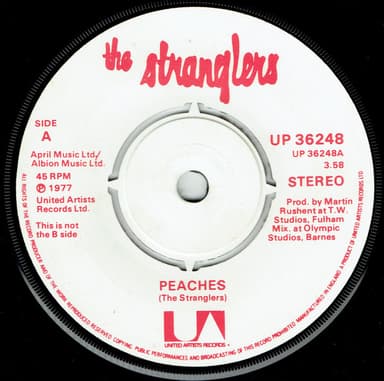 Album Cover Art for Peaches / Go Buddy Go