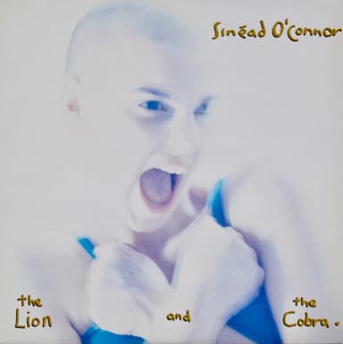 Album Cover Art for The Lion And The Cobra
