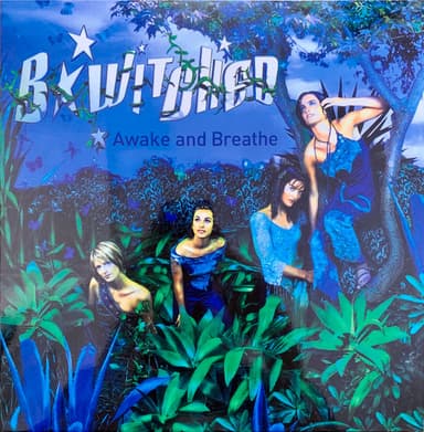 Album Cover Art for Awake And Breathe