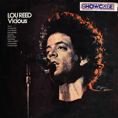 Album Cover Art for Vicious
