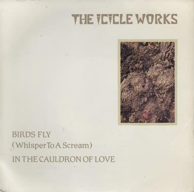 Album Cover Art for Birds Fly (Whisper To A Scream) / In The Cauldron Of Love
