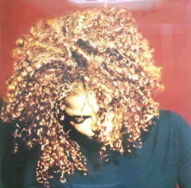 Album Cover Art for The Velvet Rope